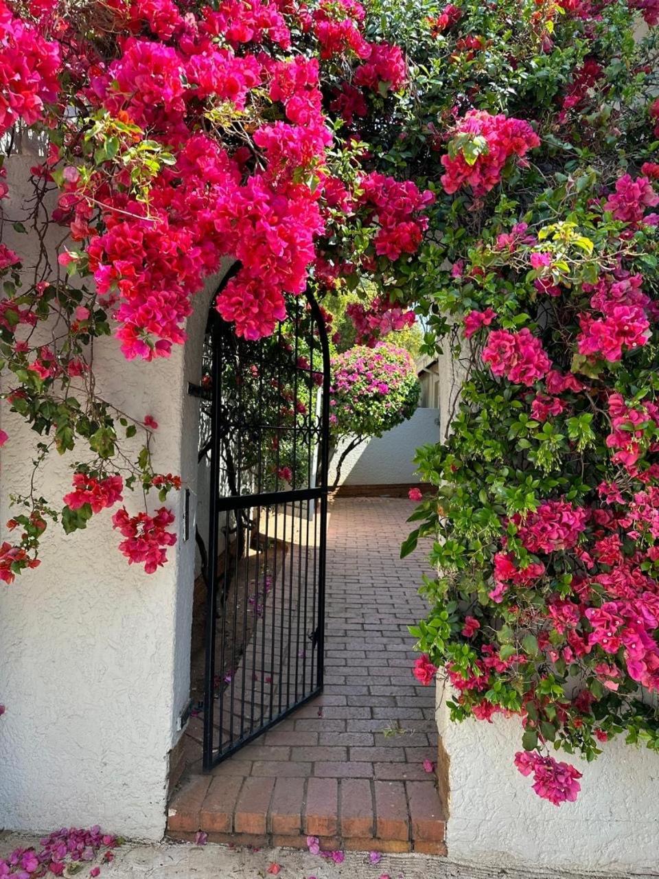 Bagley Terrace 136 Cottage Johannesburg Buitenkant foto