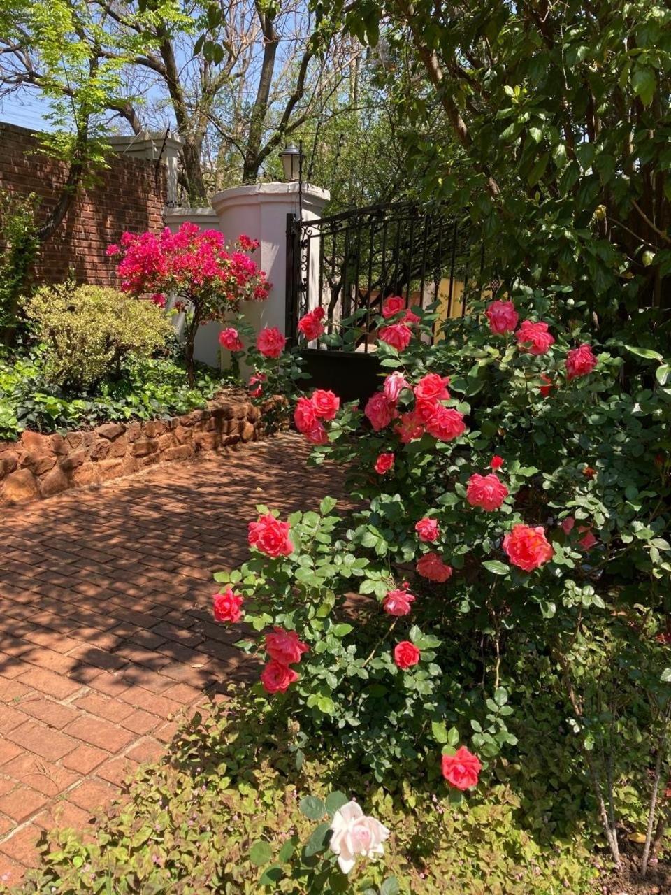 Bagley Terrace 136 Cottage Johannesburg Buitenkant foto